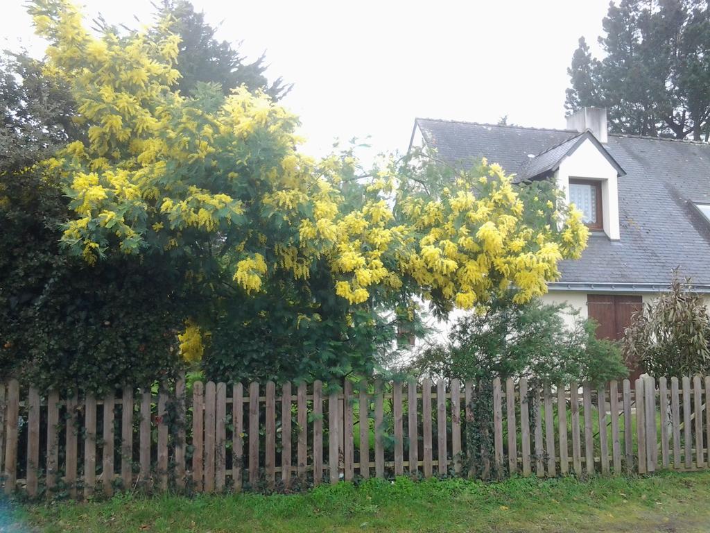 Jervl Villa Piriac-sur-Mer Eksteriør bilde